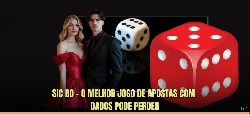 Sistema de Segurança Avançado roda7 - Criptografia e Proteção